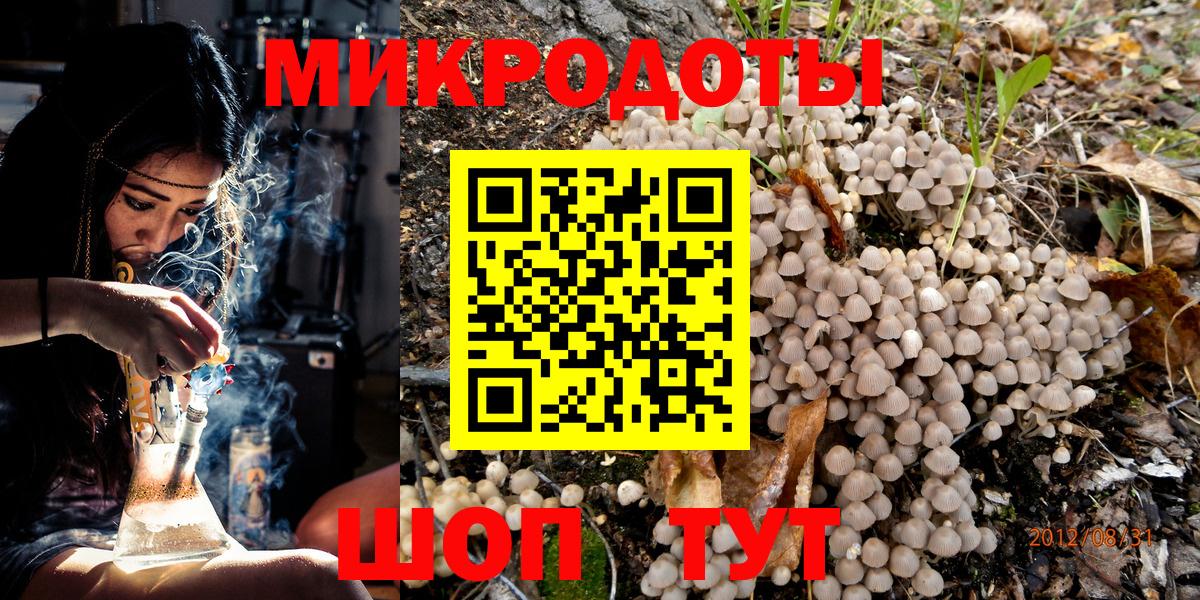 Псилоцибиновые грибы Psilocybe  Вход с VPN  Псилоцибиновые грибы Cubensis  Павлово 