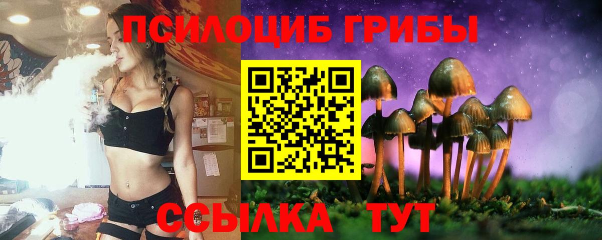 Псилоцибиновые грибы Magic Shrooms Павлово